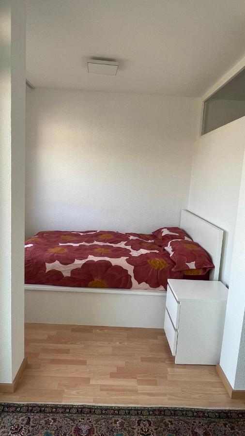 1,5 Zimmerwohnung In Heidelberg Luaran gambar
